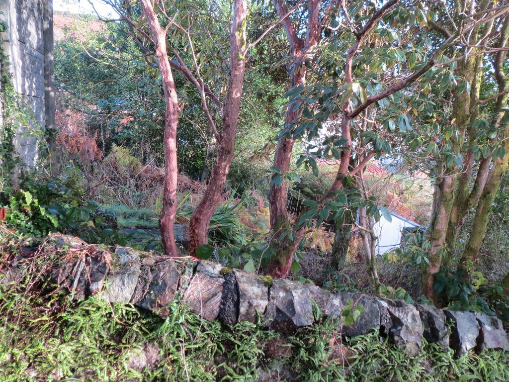 Elmbank Garden Apartment Oban Oda fotoğraf